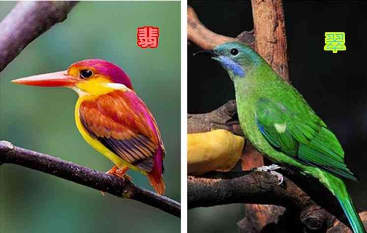 翡翠證書(shū)怎么看值不值錢(qián)(翡翠證書(shū)怎么看)