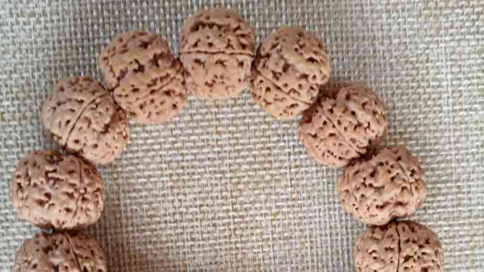 金剛菩提子(金剛菩提子真假辨別)