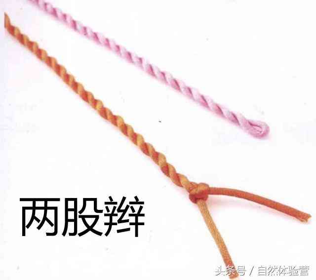 兩股繩子編法大全(兩股繩子編法大全金剛)