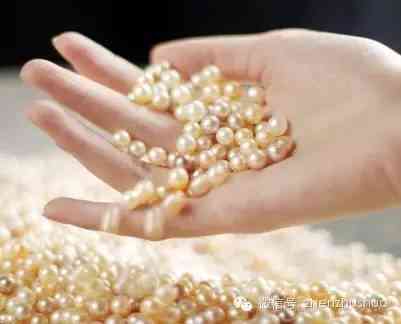 淡水珍珠很便宜嗎(淡水珍珠很便宜嗎能買嗎)
