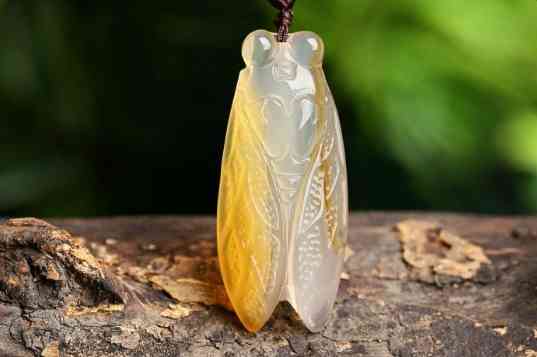 玉髓和玉的區(qū)別哪個(gè)貴(玉髓和玉的區(qū)別哪個(gè)貴些)