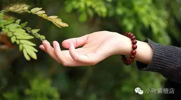 小葉紫檀對女性的好處(女人戴小葉紫檀手串的好處)