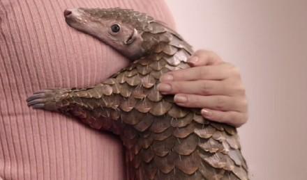 女人戴石榴石的寓意(石榴石戴多久可以養(yǎng)人)