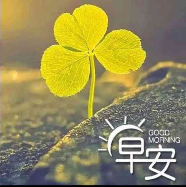 送什么給男情人最感動(dòng)(送男人禮物前十件排名)