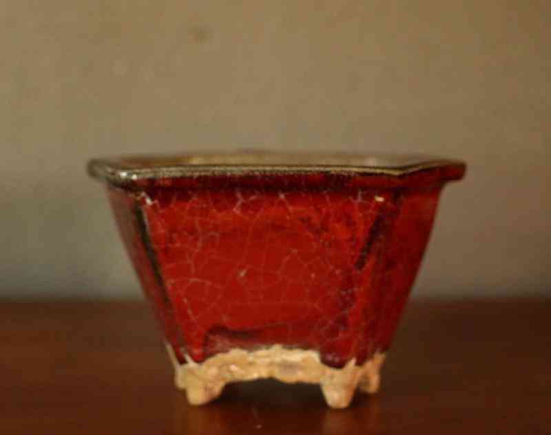 俄羅斯玉價(jià)格(俄羅斯玉價(jià)格及圖片)