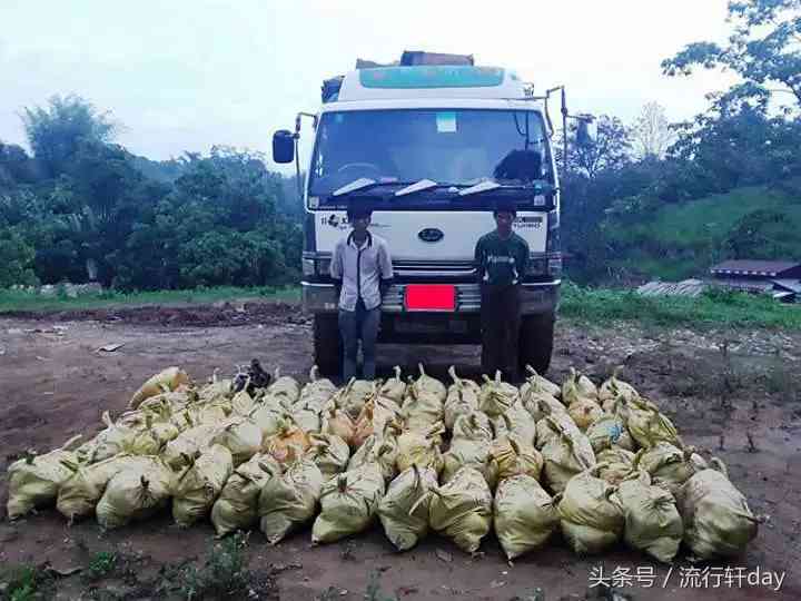 緬甸玉石礦區(qū)在哪里(緬甸玉石礦區(qū)產(chǎn)地照片)