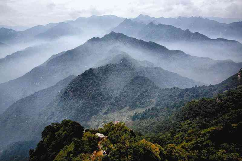 2019年雞血石原石多少錢一克(雞血石價(jià)格多少錢一克)