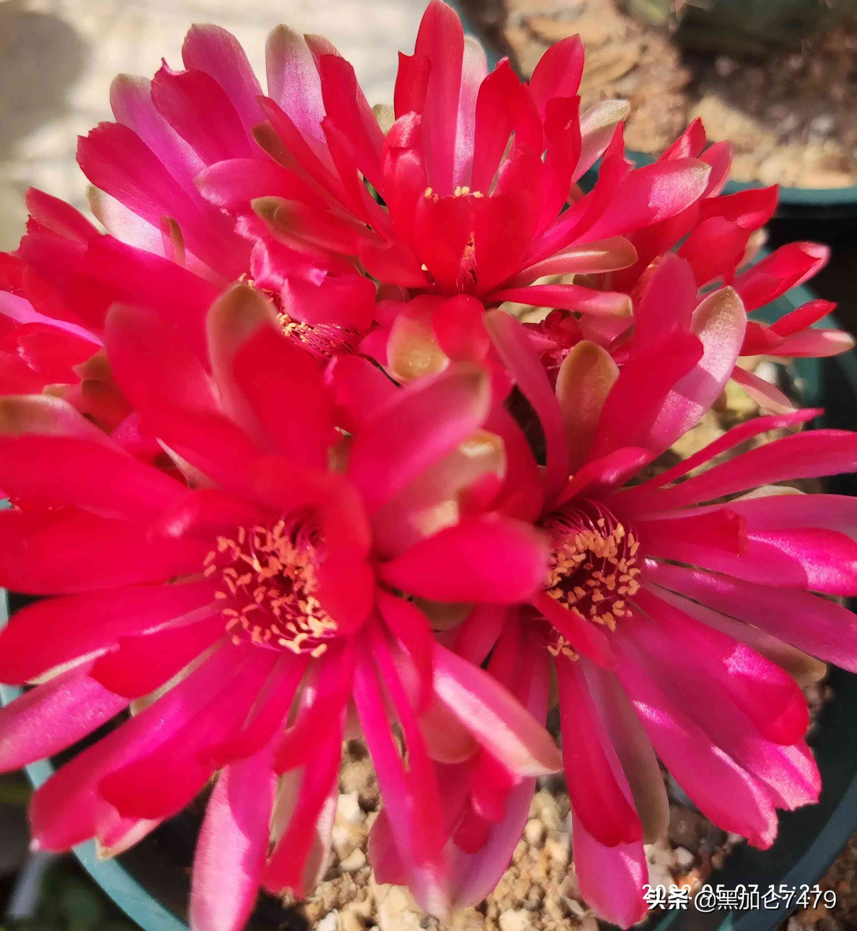 紫色翡翠值錢嗎(翡翠怎么看值不值錢)