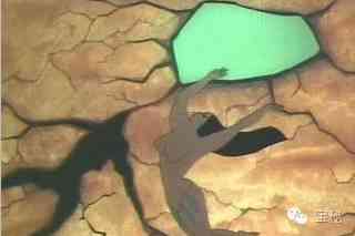 黃蠟石冰種多少錢一克(黃蠟石冰種原石圖片)