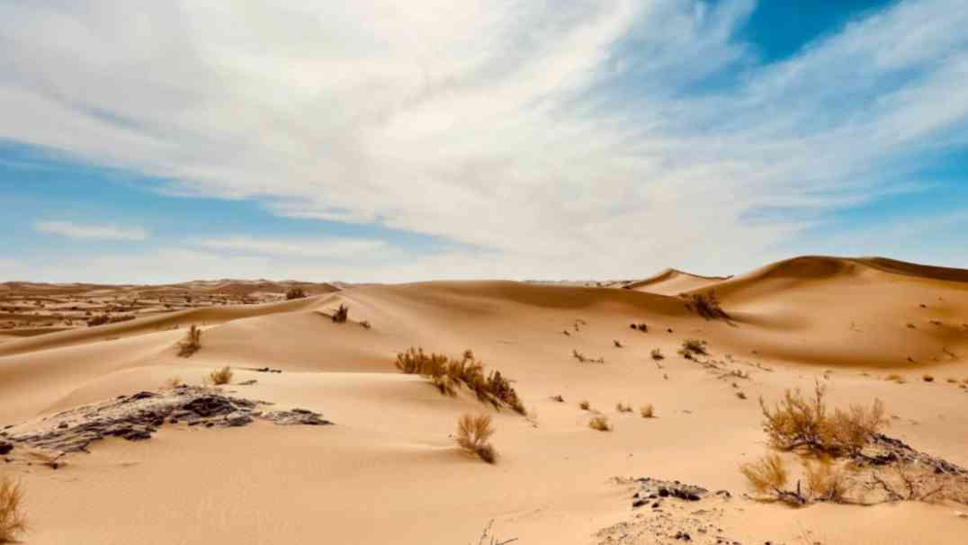 培育鉆石和天然鉆石的區(qū)別(人造鉆石和天然鉆石的區(qū)別有哪些)