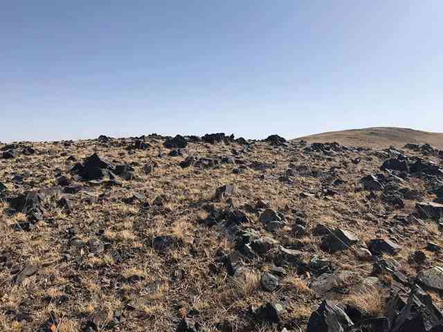 真正的砭石梳子多少錢(qián)(砭石的功效和作用)