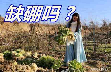 碧璽石價格一克多少錢(碧璽一般多少錢一克)