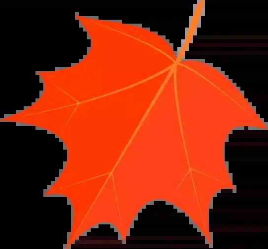 水晶手串真假鑒別(水晶手串的真假)