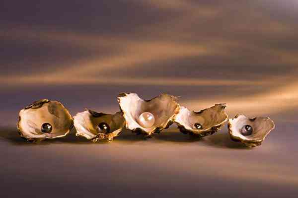 淡水珍珠好不好(淡水珍珠好不好,會(huì)不會(huì)掉色)