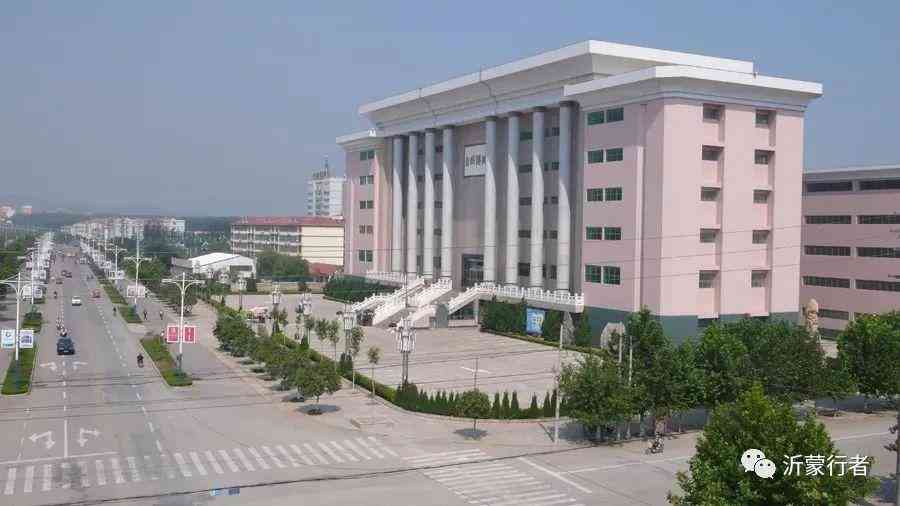 硅化木原石及價(jià)格(硅化木原石圖片)