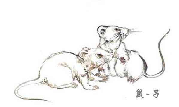 紫水晶的寓意五行屬性(紫水晶五行屬于什么類)