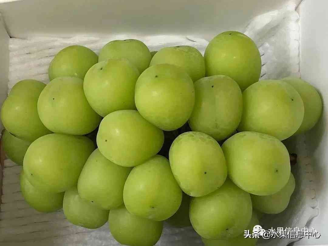 金絲楠木手串(金絲楠木手串怎么盤(pán))