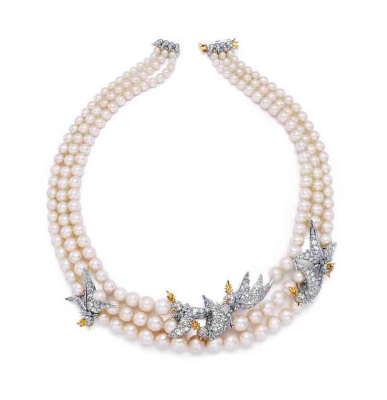 鉆石小鳥線下實體店(鉆石小鳥 實體店)