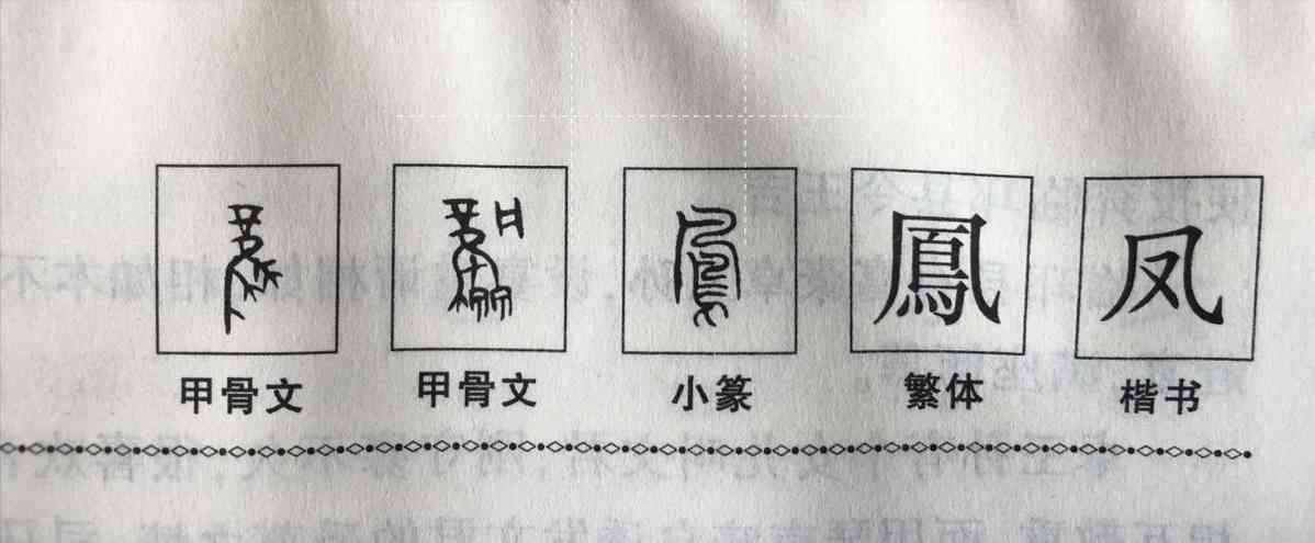 翡翠鳳凰的寓意(翡翠鳳凰的寓意與象征)