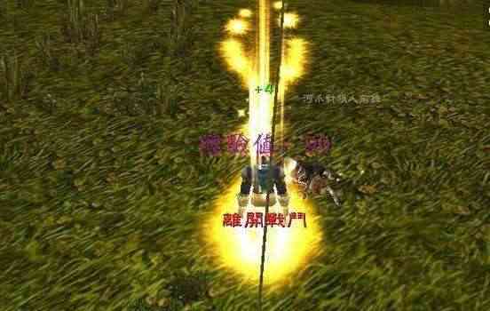 長期戴鉑金項(xiàng)鏈的危害(鉑金的優(yōu)點(diǎn)與缺點(diǎn))