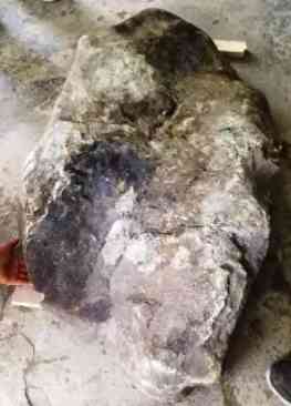 怎么鑒別石頭是玉石(怎么鑒定石頭是玉石)