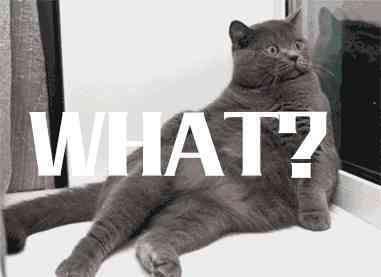 tiffanyco和tiffany的區(qū)別(tiffany和chaumet哪個檔次高)