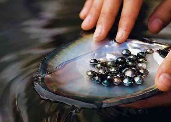 正宗大溪地黑珍珠價(jià)格(大溪地黑珍珠收藏價(jià)值)