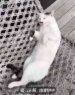 女孩過生日送什么禮物合適(6歲女孩過生日送什么禮物合適)