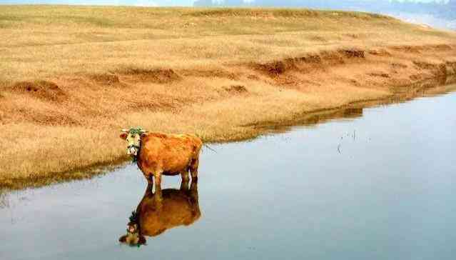 水鉆價(jià)格多少錢(qián)一克(水鉆戒指多少錢(qián)一個(gè))