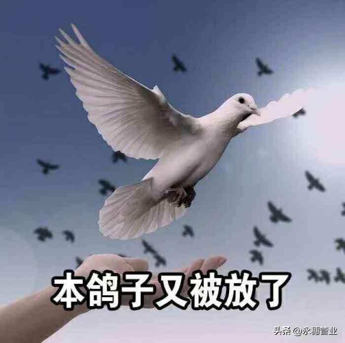 黃金現(xiàn)在多少錢1克(黃金現(xiàn)在多少錢1克999的)