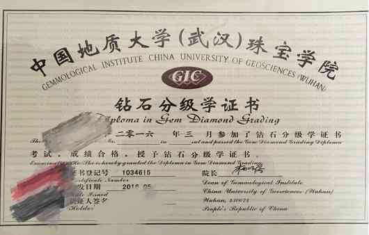 鉆石小鳥總部地址(鉆石小鳥全國門店)