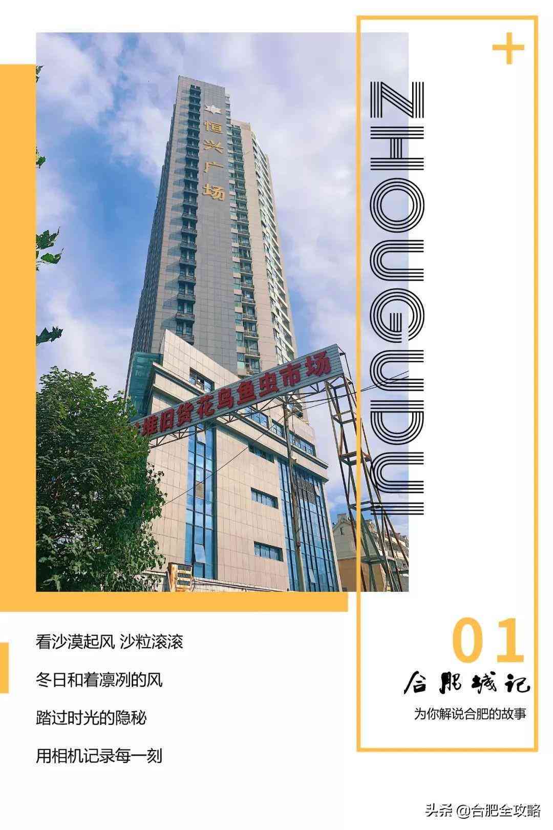 鉆石小鳥實體店(鉆石小鳥實體店價格)