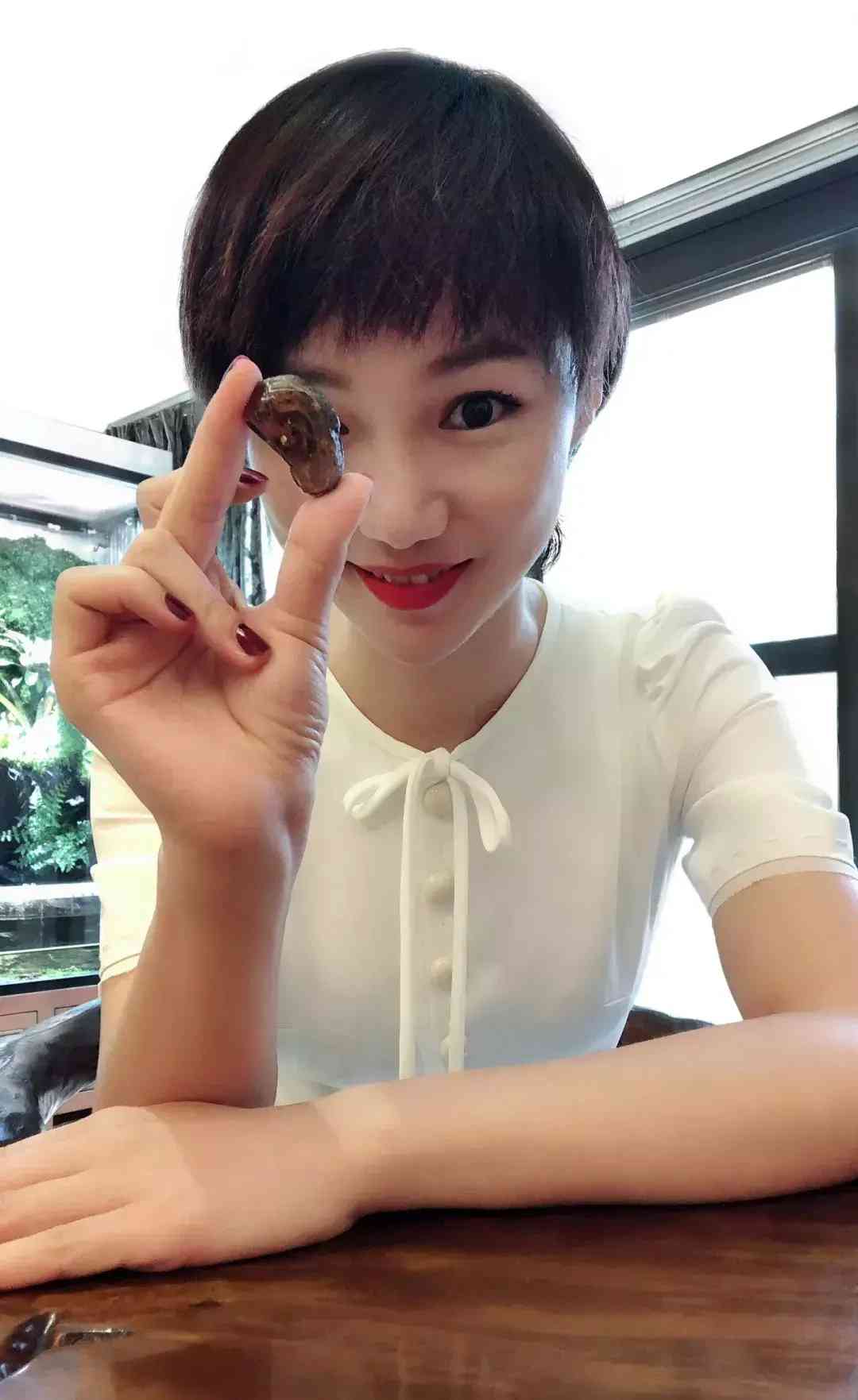 琥珀的資料(琥珀的資料四年級下冊)