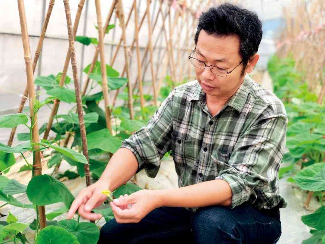 2016年黃金價格多少錢一克(2016年黃金多少錢一克)