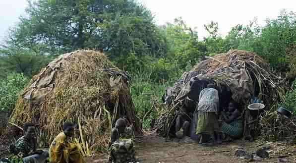 150種常見巖石標本(150種常見巖石標本,怎么購買)