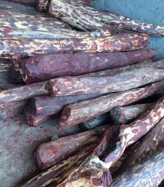 佛珠手串打結(jié)教程(佛珠手串打結(jié)圖解視頻教程)