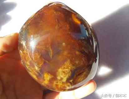 天然琥珀值多少錢一克(純天然的琥珀多少錢)