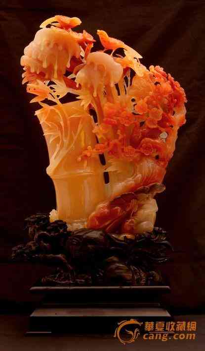 黃龍玉水草花有價(jià)值嗎(黃龍玉水草花值錢(qián)嗎)