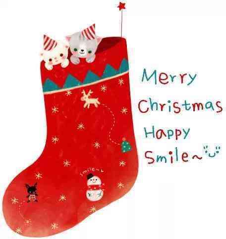 黑發(fā)晶手串(黑發(fā)晶手串多少顆珠子合適)