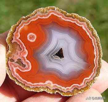 玉髓值錢嗎(帝王紫玉髓值錢嗎)