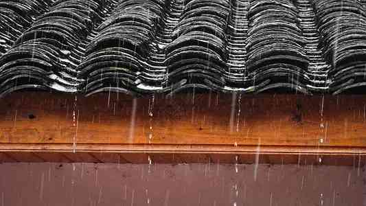 貓眼石如何鑒別(貓眼石如何鑒別好壞)