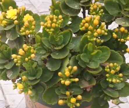 送結(jié)婚新人什么禮物比較好(結(jié)婚送新人什么東西)