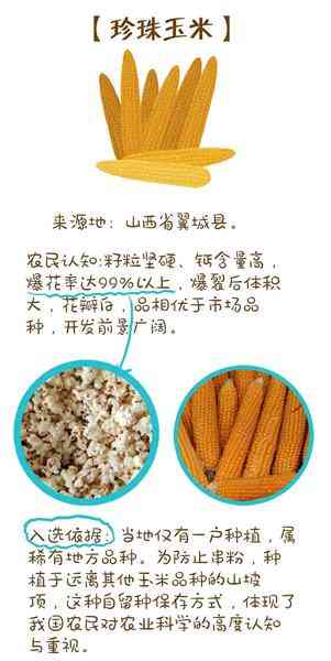 珍珠對人體的十大好處(珍珠對身體的危害)