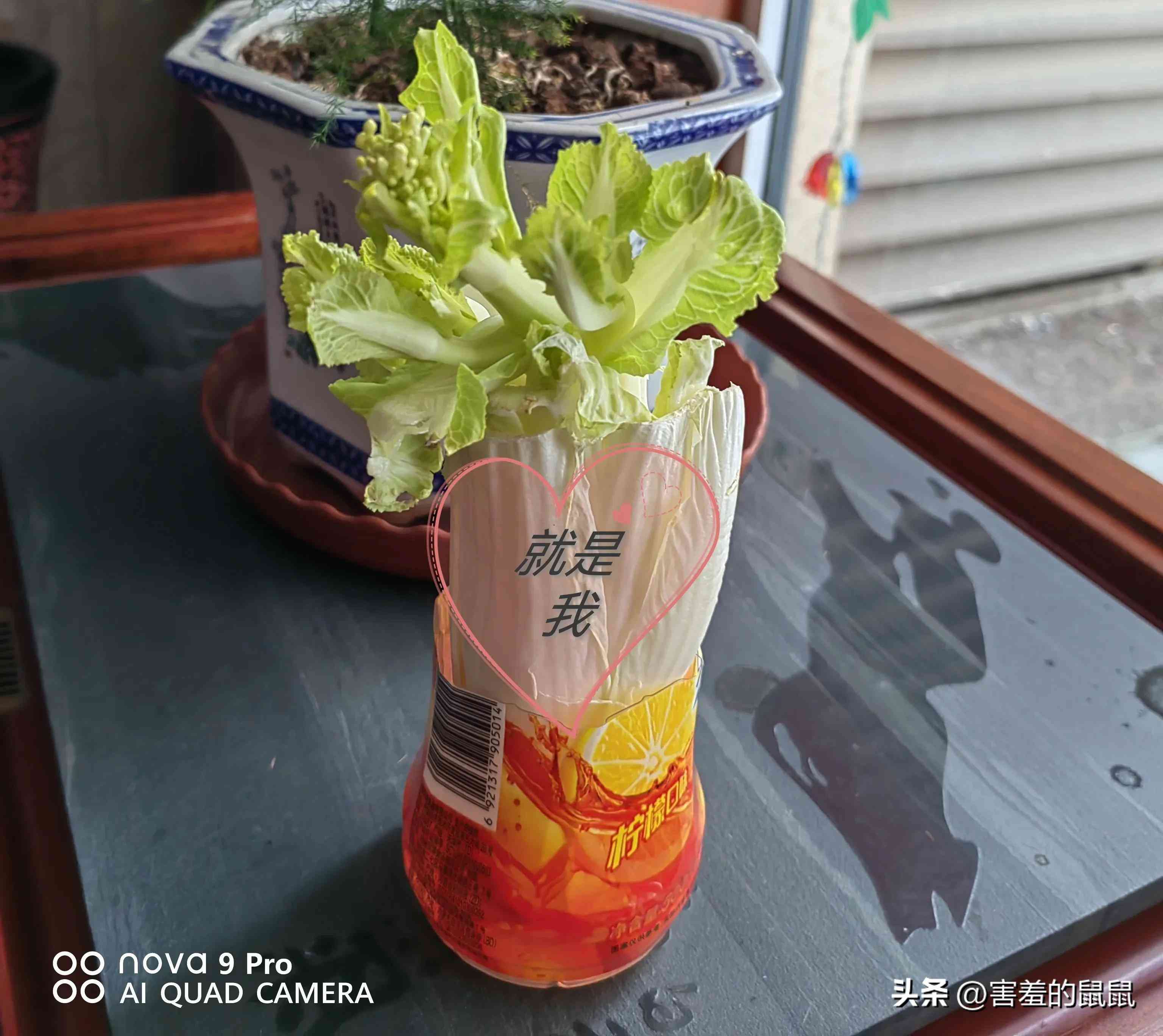 女生生日送啥禮物好(女生生日送啥禮物好12歲)