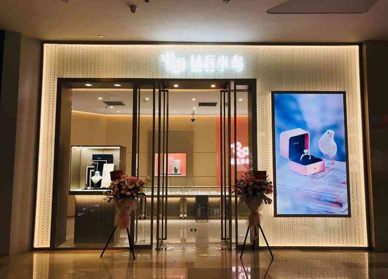 鉆石小鳥融資(鉆石小鳥融資一個億節(jié)目結(jié)果)