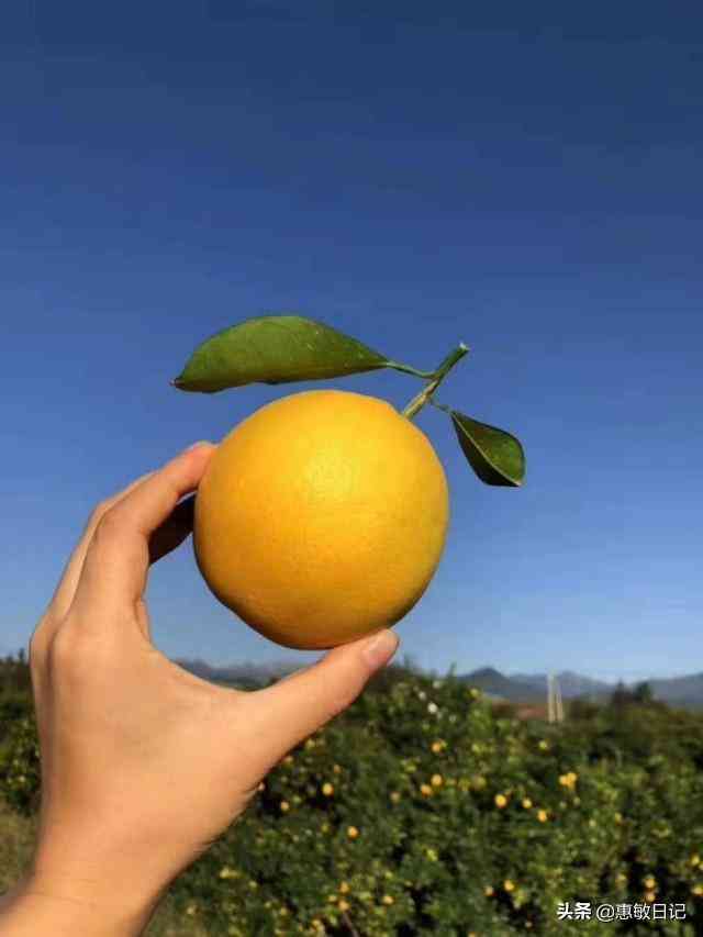 世界珠寶品牌排行榜(世界珠寶品牌排行榜前100名)