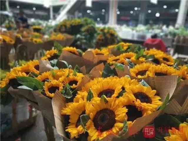 玫瑰金價格今天多少一克(玫瑰金今天多少錢一克)