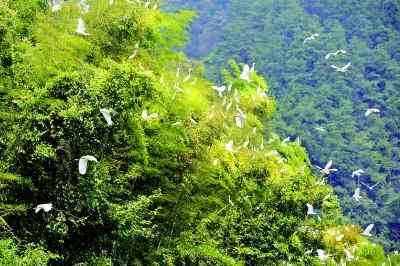 河邊能撿到翡翠原石(河邊能撿到寶石嗎)