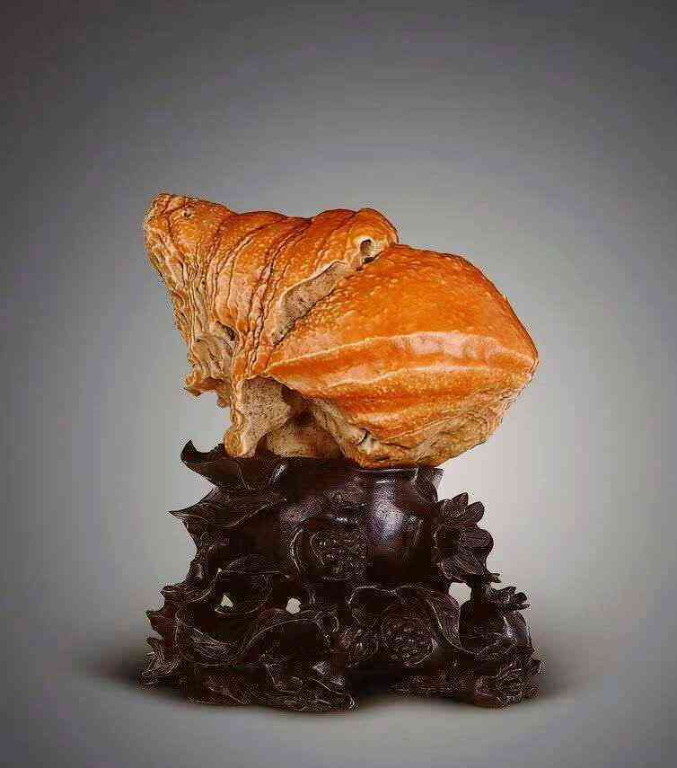 什么樣的石頭是玉石原石(怎么判斷是不是玉石的原石)