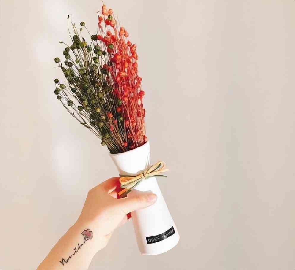 浪漫求婚策劃(浪漫求婚策劃書(shū)怎么寫(xiě))